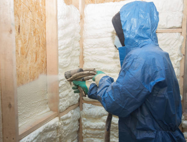 Best Radiant Barrier Insulation  in Horicon, WI